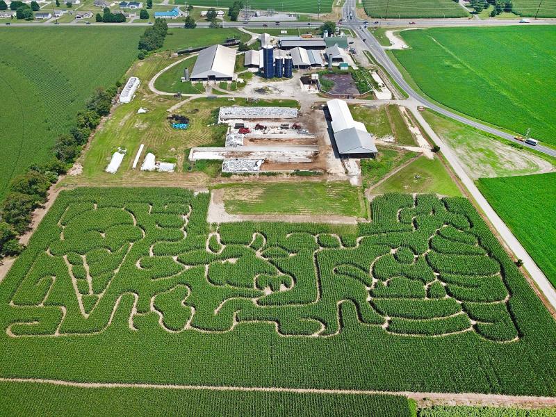 The Hopkins Green Acres Farm cornfield maze, with its farm-related theme, is located at the former dairy operation, shown at top of photo, along Dairy Farm Road near Lewes. NICK ROTH PHOTO